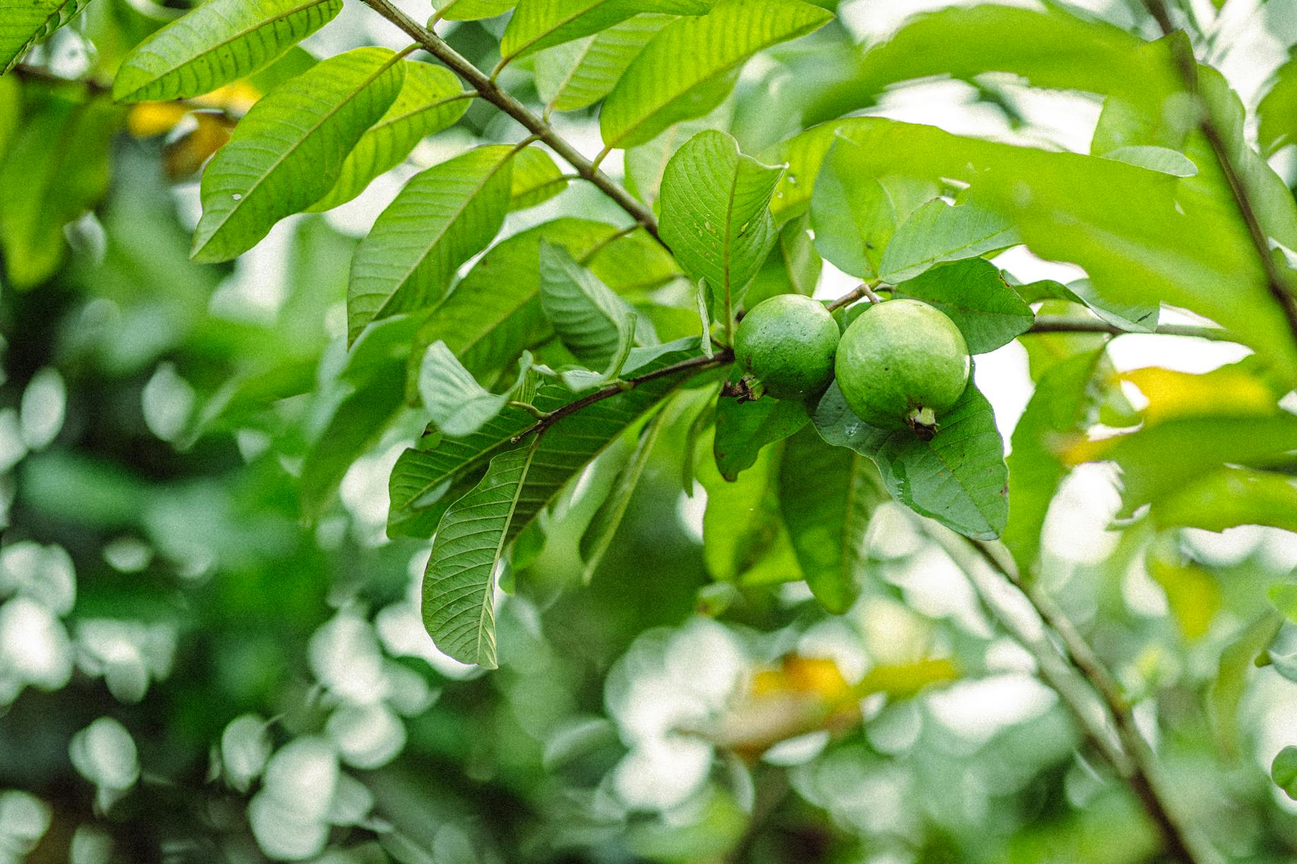 A person experiencing chronic stress and fatigue, with visible signs of tension and exhaustion on their face, amidst a blurred background of daily life.